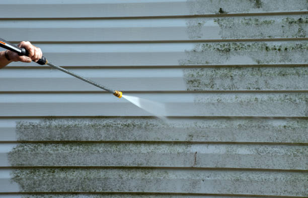 Best Driveway Cleaning and Restoration in Springville, IA