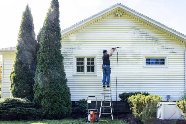 Best Window and Screen Pressure Cleaning in Springville, IA