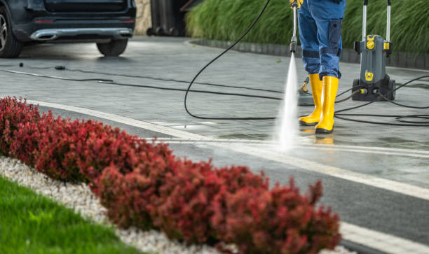 Reliable Springville, IA Pressure Washing Services Solutions